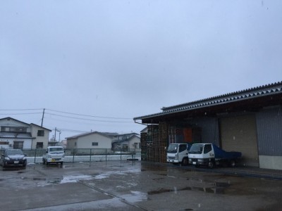 20160226_082026694_iOS