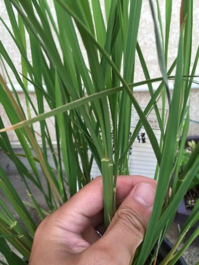 20160722_090014693_iOS