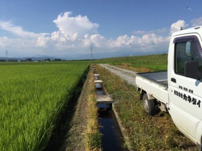 20160729_062437925_iOS